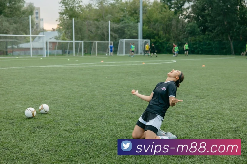 M88官网平台生态图