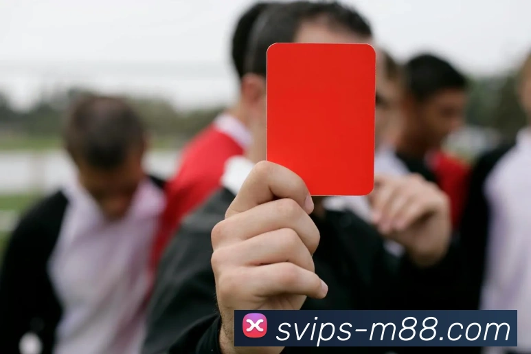 M88官网APP 封面图